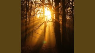 The Sound of Soft Drift
