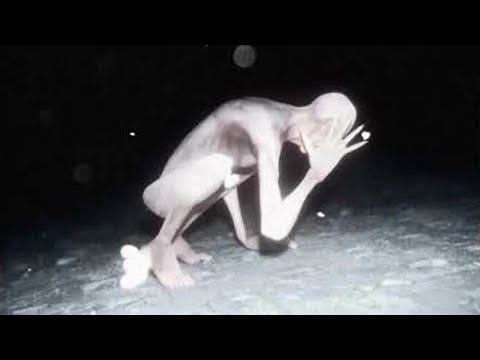 5 SCP extremamente PERIGOSOS