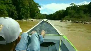 Tim Howes Guyana 1