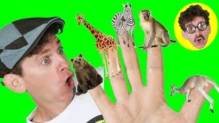 finger family song wild animals part 2 with matt learning animals names learn english kids