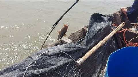 hành trình đi kéo câu giăn(lê nghĩa Cần Giờ)