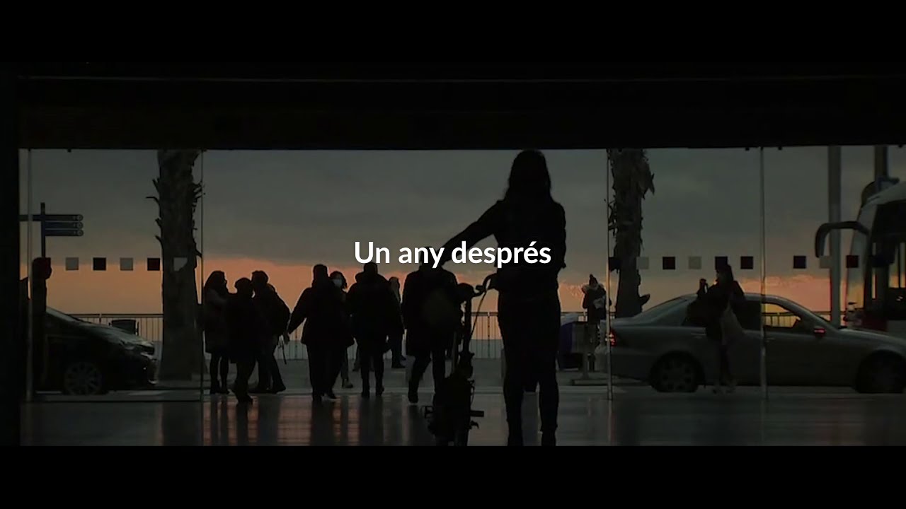 COVID-19. Un any de pandèmia