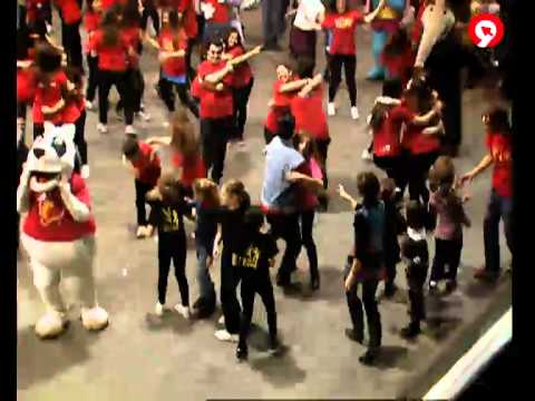 Flashmob que es