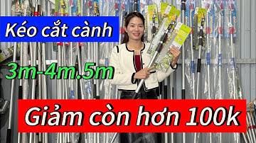 Thanh lý giảm giá các mẫu kéo cắt cành trên cao 3m-4m-5m hàng cao cấp giá rẻ !