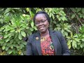 UNIVERSITY OF NAIROBI FACULTY OF AGRICULTURE