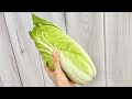 ミニ白菜〈野菜の食べ方＆調理方法〉by食育マルシェおうち便