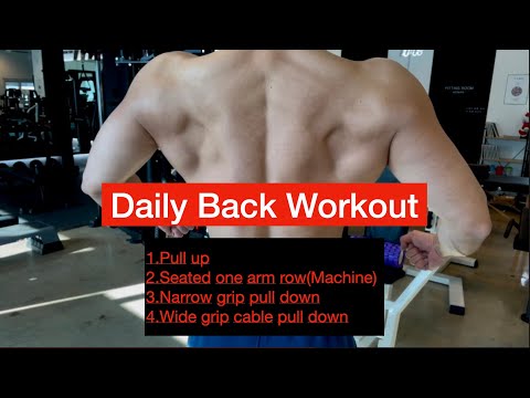 Daily Back Workout (오늘의 등운동루틴)