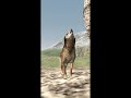 Thank you viewers for being awesome and subscribing even if I dont have that much vids | WolfquestAE