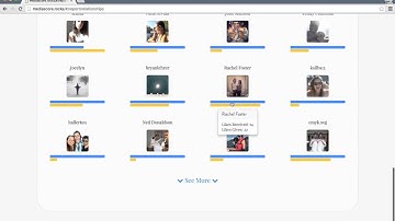Instagram Permissions Review: MediaScore