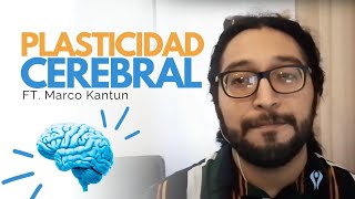 La Plasticidad cerebral y la Rehabilitación Neurocognitiva