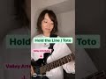 Toto / Hold The Line 【Guitar Cover】弾いてみた　Steve Lukather