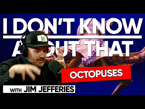 Octopuses | I Don't Know About That with Jim Jefferies