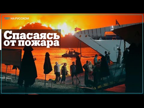 Жители греческого острова Эвия эвакуировались на фоне огненной стены