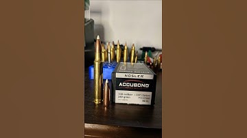 1 Cartridge 1 Bullet