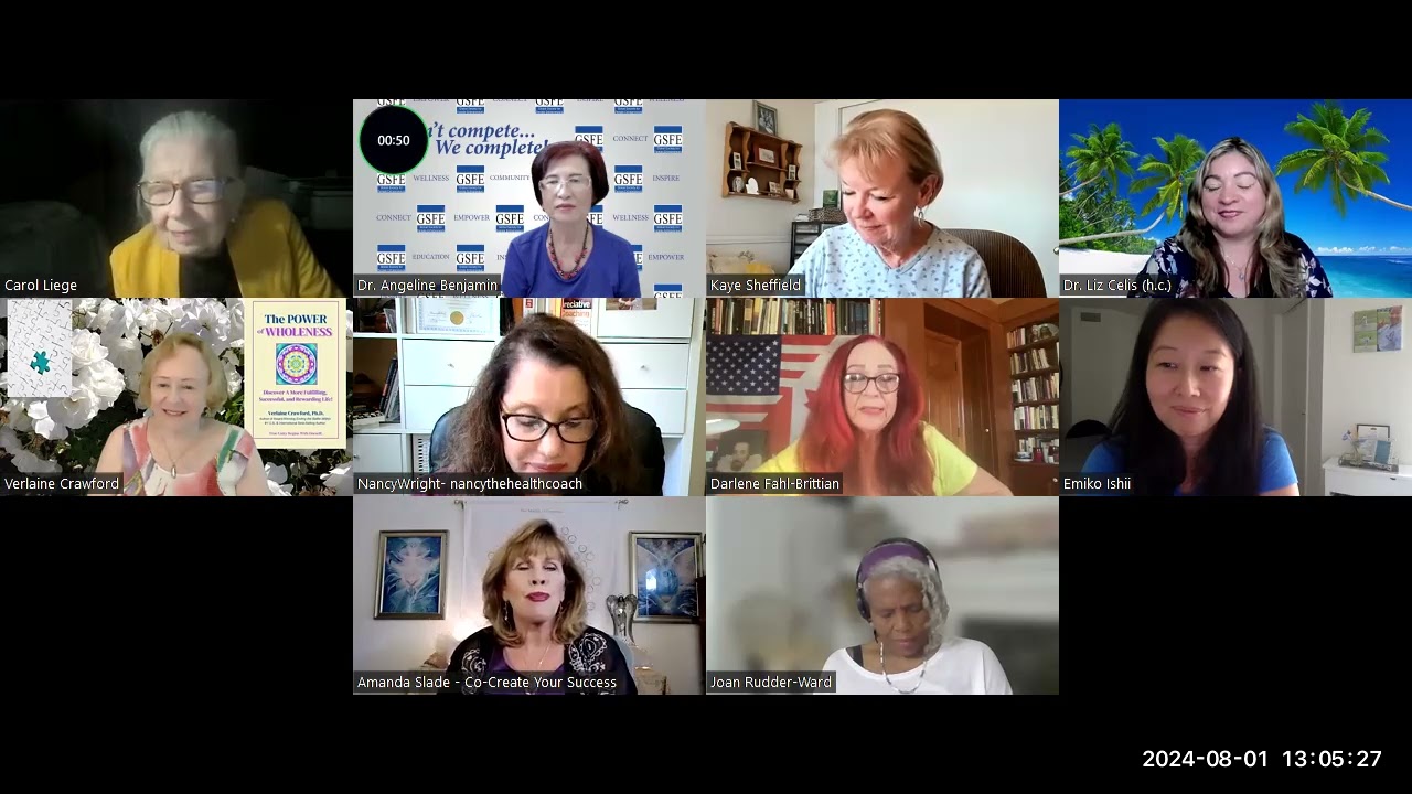 Attendees introduction at the GSFE Virtual meeting on August 1st, 2024