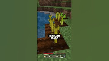 🎃💡Minecraft Pumpkin Farm🌱🌍