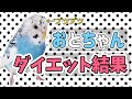 おとちゃんのダイエット結果【頭の黒い毛】【肝脂肪】【セキセイインコ】【#46】