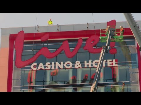 XING FU 888 #casino #casinogames #casinoslots #thecasino