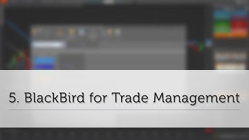 5. BlackBird for Trade Management // Getting Started with SharkIndicators