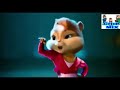 Funny squirrel dance in long Lachi song