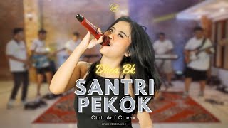 DHEA BK - SANTRI PEKOK  (Cover Live Music) AW MUSIC