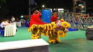 Best lion dance 2024 | Lion jump in the stair by Can Tho | Vietnamese Lion and Dragon Award