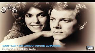 I Won&#39;t Last a Day Without You (The Carpenters) - Flugelhorn Cover