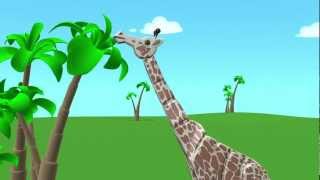 7. Tuu Giraffeтутиту Жираф