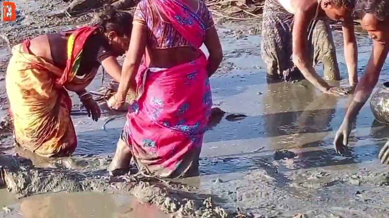 Village Desi Fishing Video | Big Fish Catch By Villagers | Amazing Hand Fishing | Fishing Video |