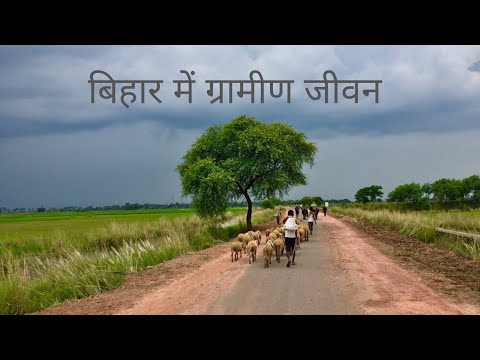 Village Life In Bihar, India| Traveling India| Ravinder Bishnoi | Travel Vlog|