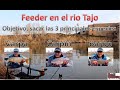 Feeder en el rio Tajo, Febrero 2022 ,Buscando las tres especies principales Barbo , Carpa y Carpín