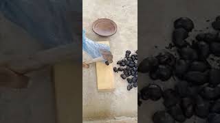 Roasted Cashew Nuts with chilli & salt?? | කජු පුච්චලා කමුද village tastyfood