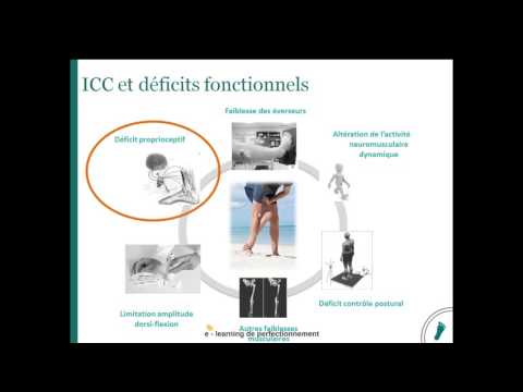 Equilibration sur surface instable et proprioception de cheville : une relation pas si claire