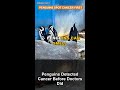 Penguins Detected Cancer Before Doctors Did