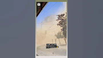 قلوبنا معك ودعائنا لك دائما يا غزة 