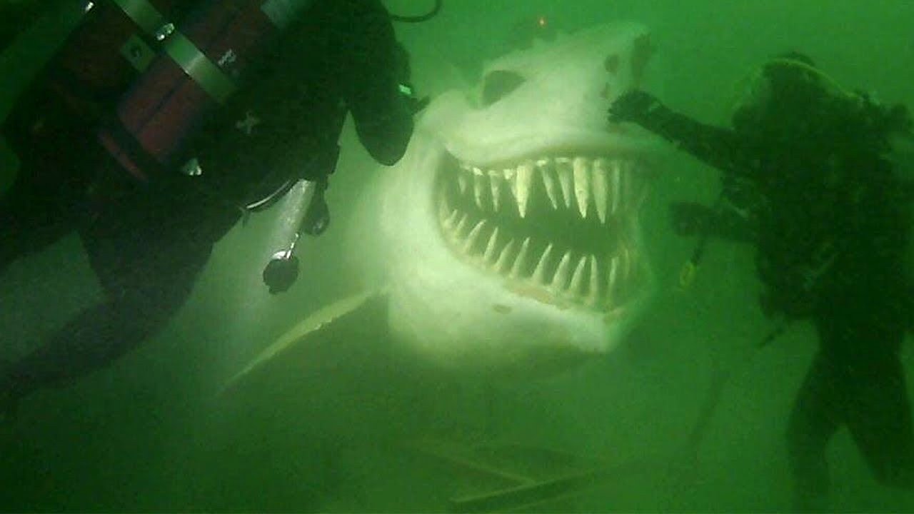 25 DADOS CURIOSOS MUITO INTERESSANTES