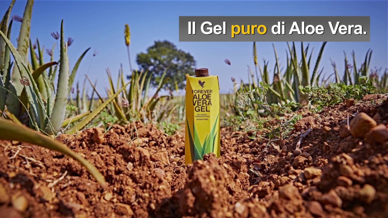 gel puro di aloe vera