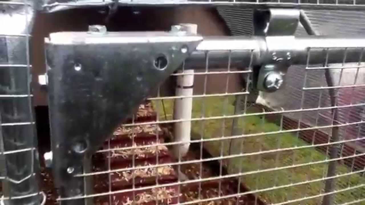 Chicken Hoop coop/Hoop house - YouTube