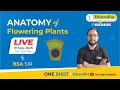 Live ! | One  Shot Revision |  Anatomy of Flowering Plants  |  BSA Sir | 1.00 PM to 3.00 PM