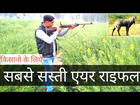 सबसे सस्ती एयर राइफल🚀 #cheapest air rifle in India || no license requirements ||