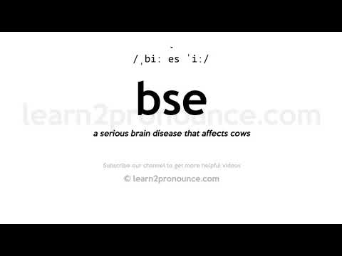 Uttale av BSE | Definisjon av Bse