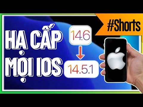 Hạ cấp MỌI BẢN iOS chỉ 59 GIÂY | Đắng Review #Shorts