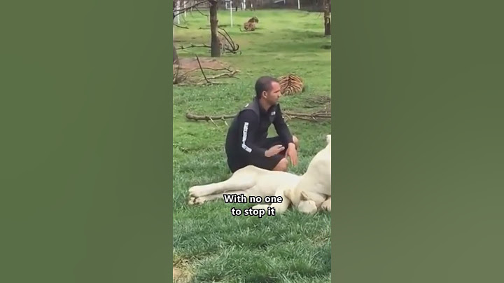 Heroic Tiger Saves Man From Leopard Attack  🥲❤️ #shorts #save