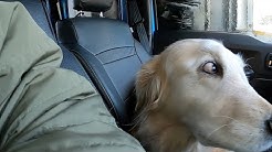 はっちの奮闘記 Youtube