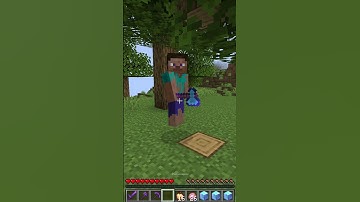 I Give Diamond Axe To Help The Noob Steve 😊- Hell