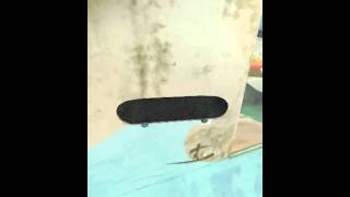 True Skate 1080 Flip