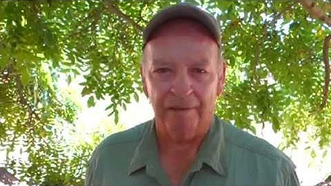 Gardening from the Ground Up: Building Healthy Soil