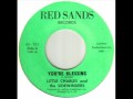 Little Charles And The Sidwinders - You're Blessing.wmv
