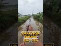 joran tegek lengkap harga mulai 35k - 75k siap pakai #setpancing #jorantegek #alatpancing