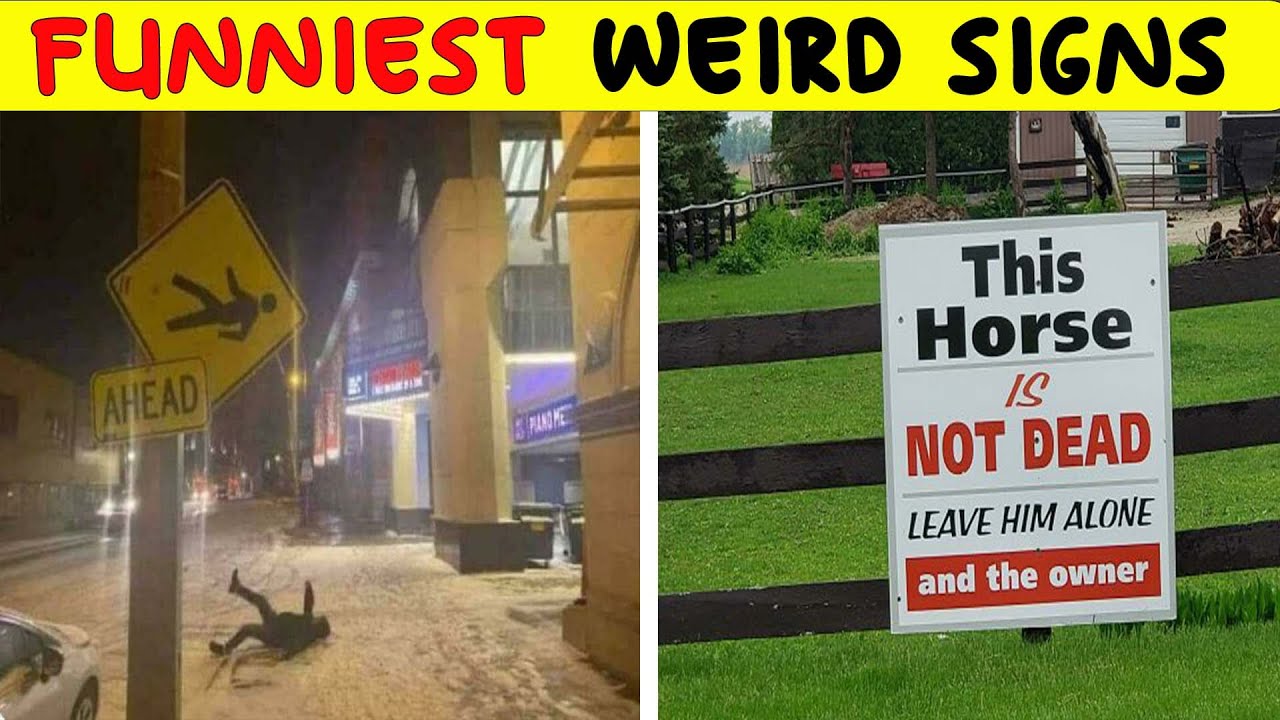 Chaotically Funny Signs Found In The Wild That Simply Had To Be Shared